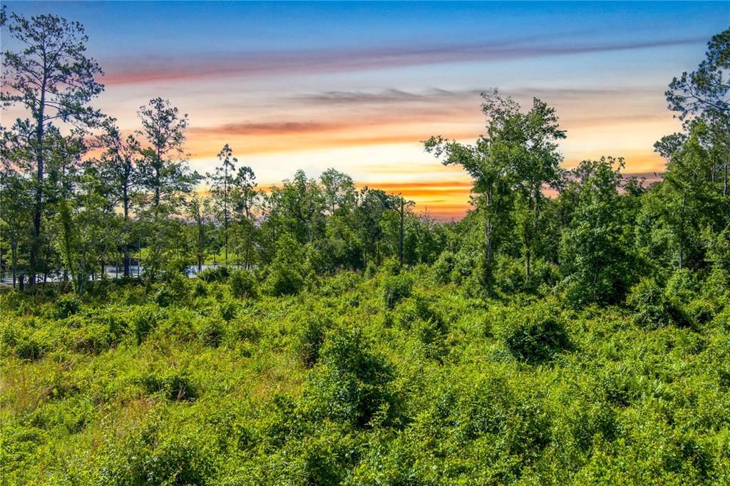 For Sale: $1,855,000 (18.24 acres)