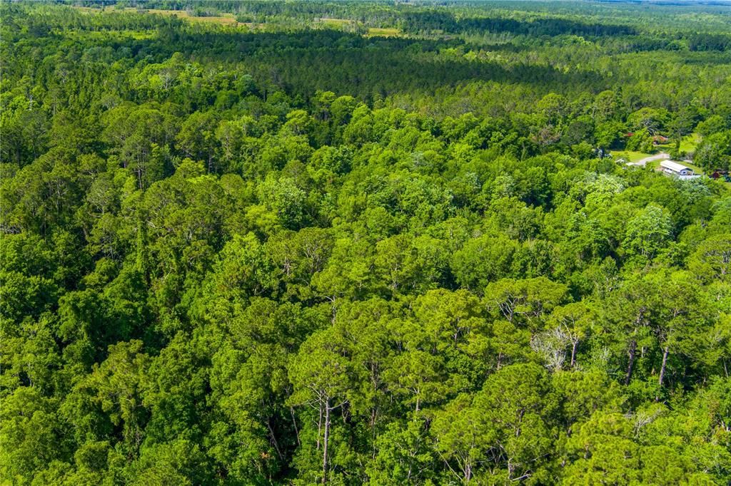 For Sale: $1,855,000 (18.24 acres)