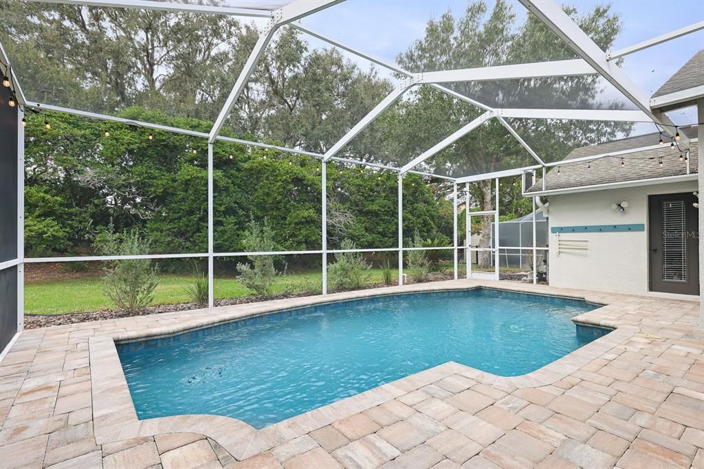 出租: $3,800 (5 贝兹, 3 浴室, 2547 平方英尺)