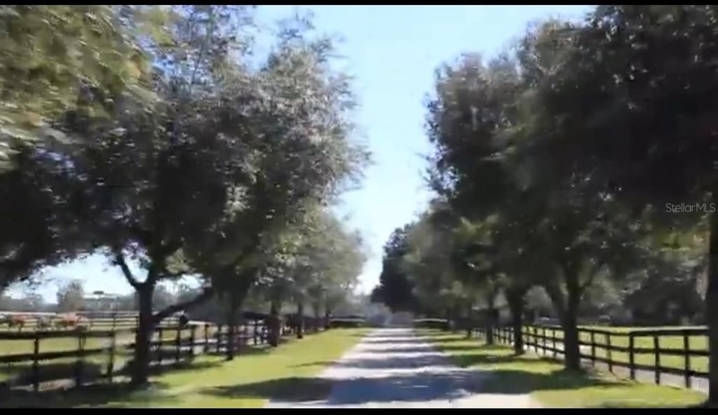 For Sale: $3,100,000 (3 beds, 3 baths, 2434 Square Feet)