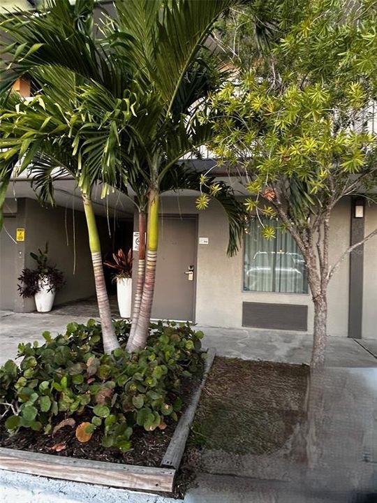 En Venta: $99,000 (1 camas, 1 baños, 348 Pies cuadrados)