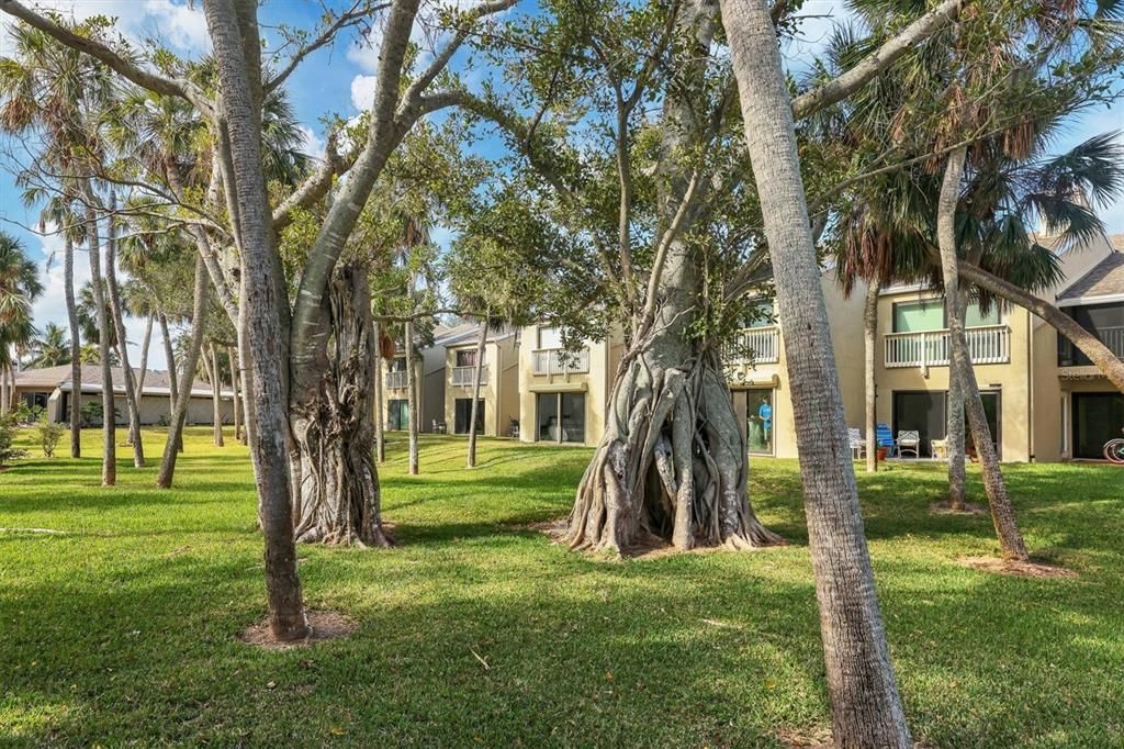 En Venta: $794,999 (3 camas, 3 baños, 1460 Pies cuadrados)