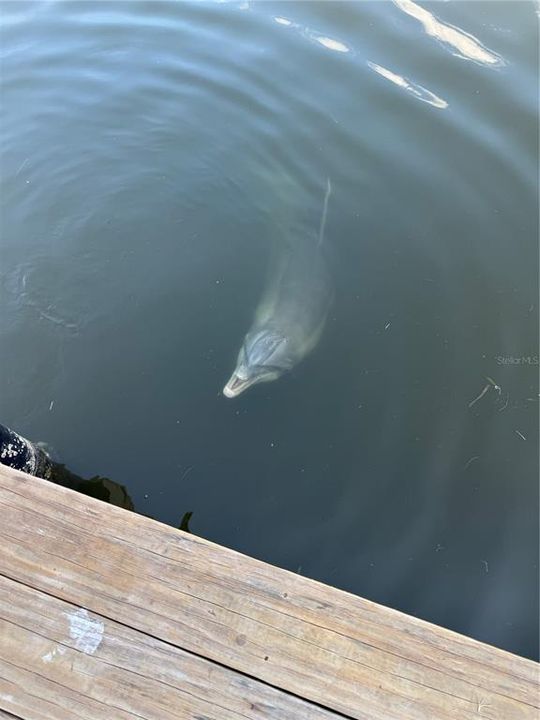 En Venta: $635,000 (3 camas, 2 baños, 1978 Pies cuadrados)