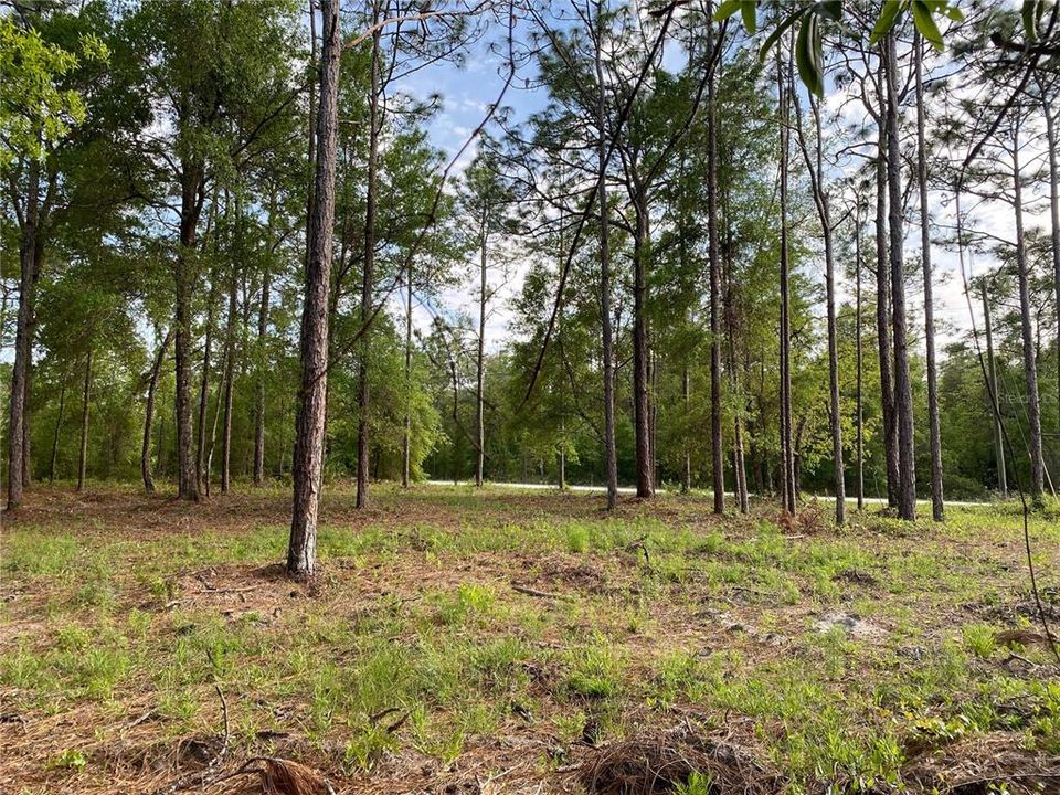 En Venta: $40,000 (0.51 acres)