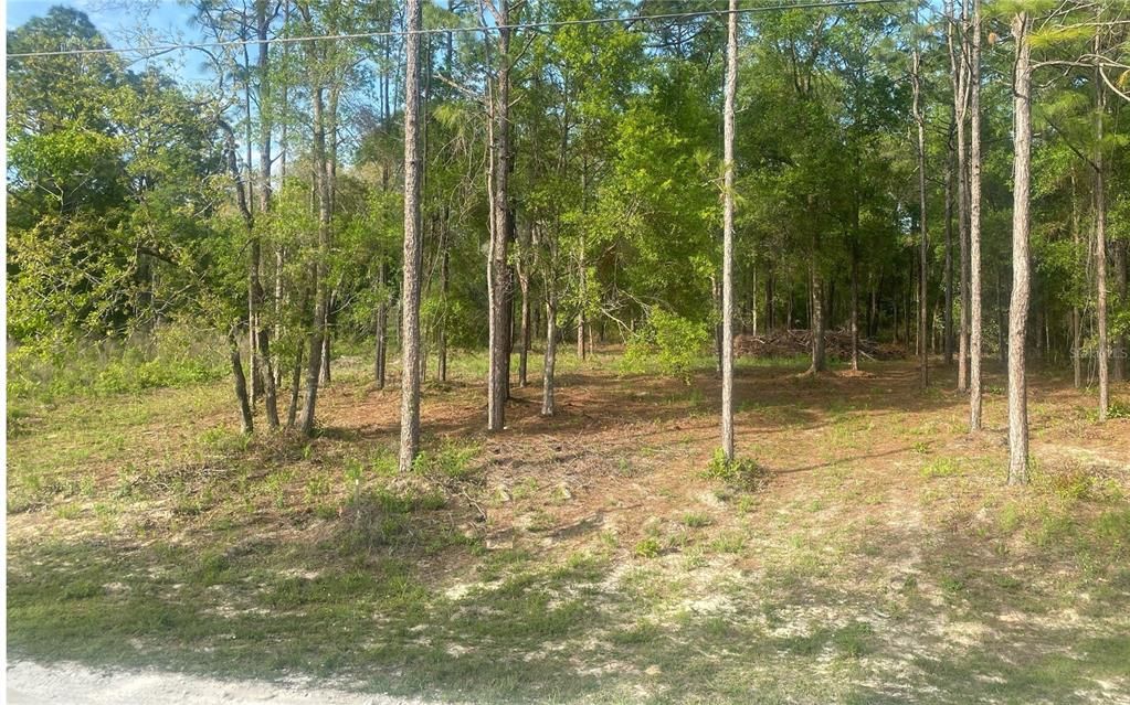 En Venta: $40,000 (0.51 acres)