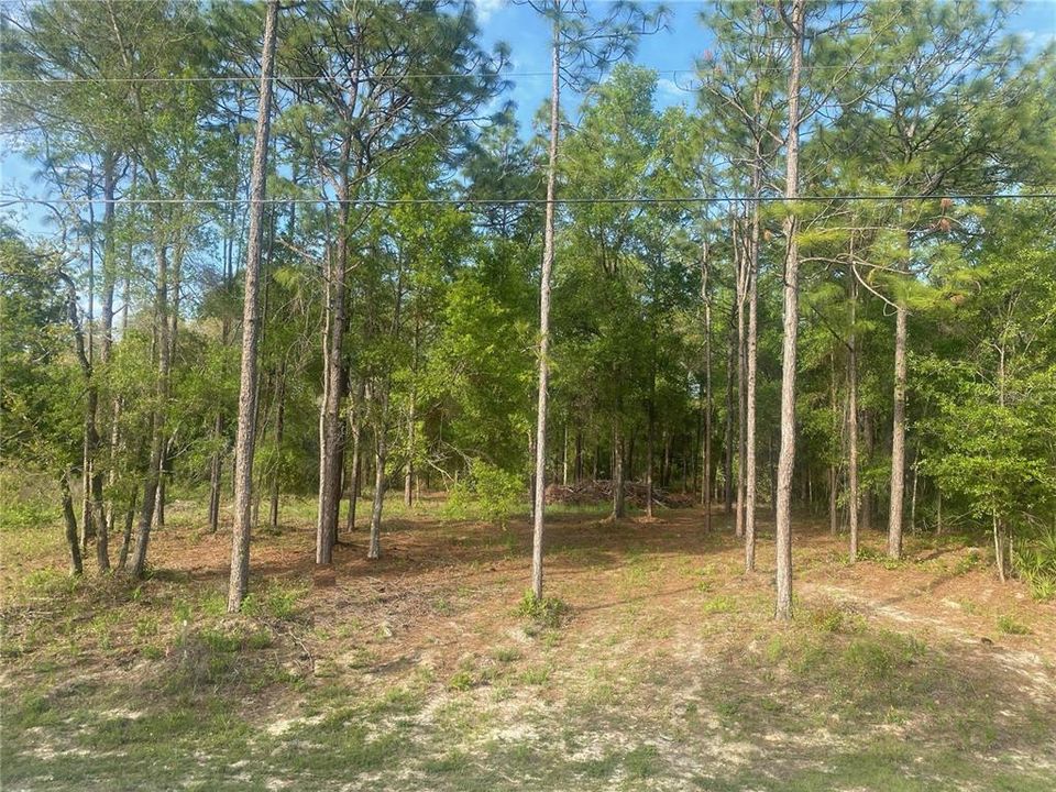 En Venta: $40,000 (0.51 acres)