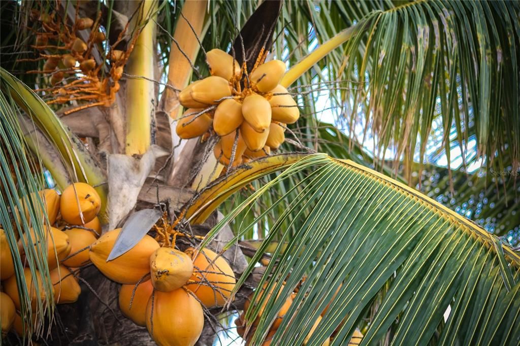 На продажу: $981,000 (3 спален, 3 ванн, 3232 Квадратных фут)