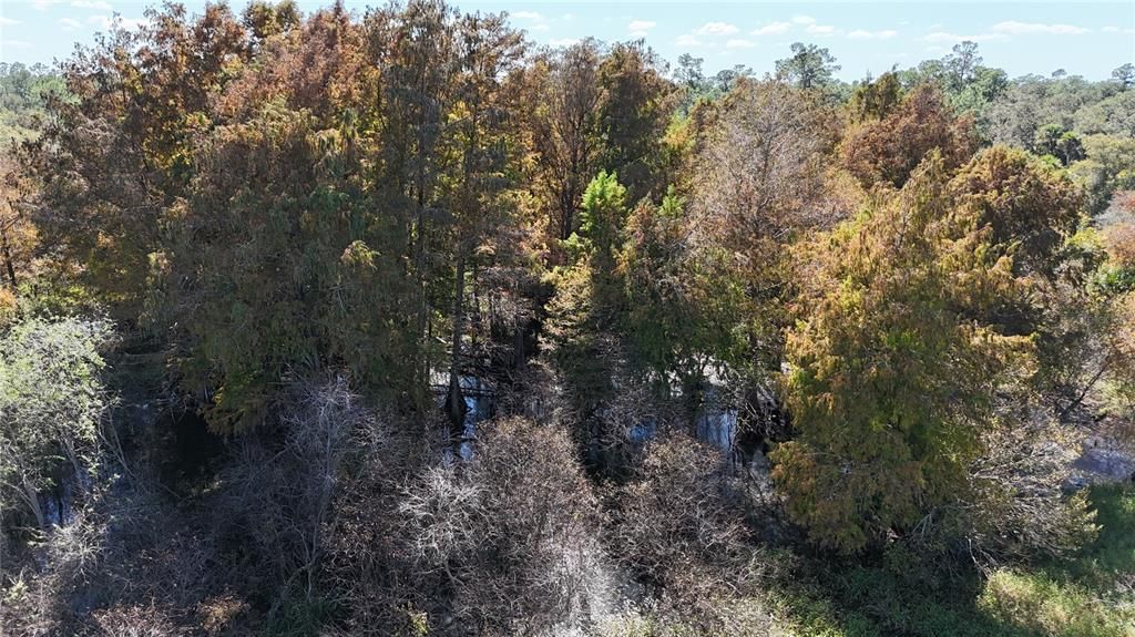 For Sale: $599,000 (40.17 acres)