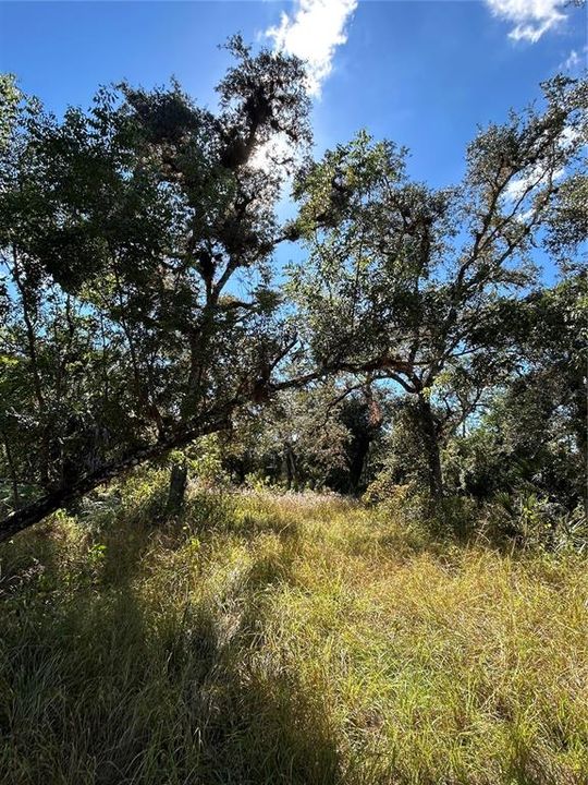 For Sale: $599,000 (40.17 acres)