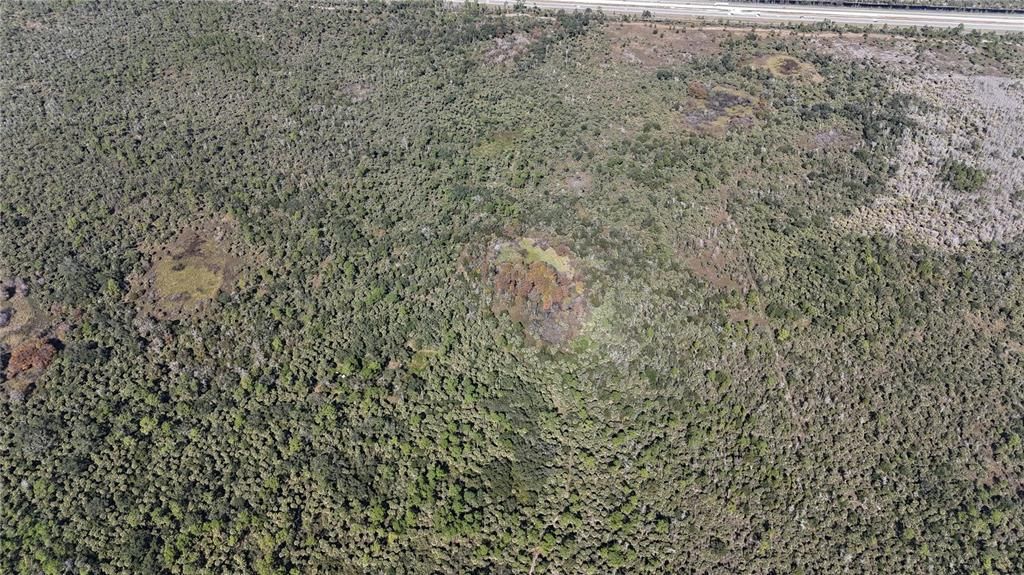 For Sale: $599,000 (40.17 acres)