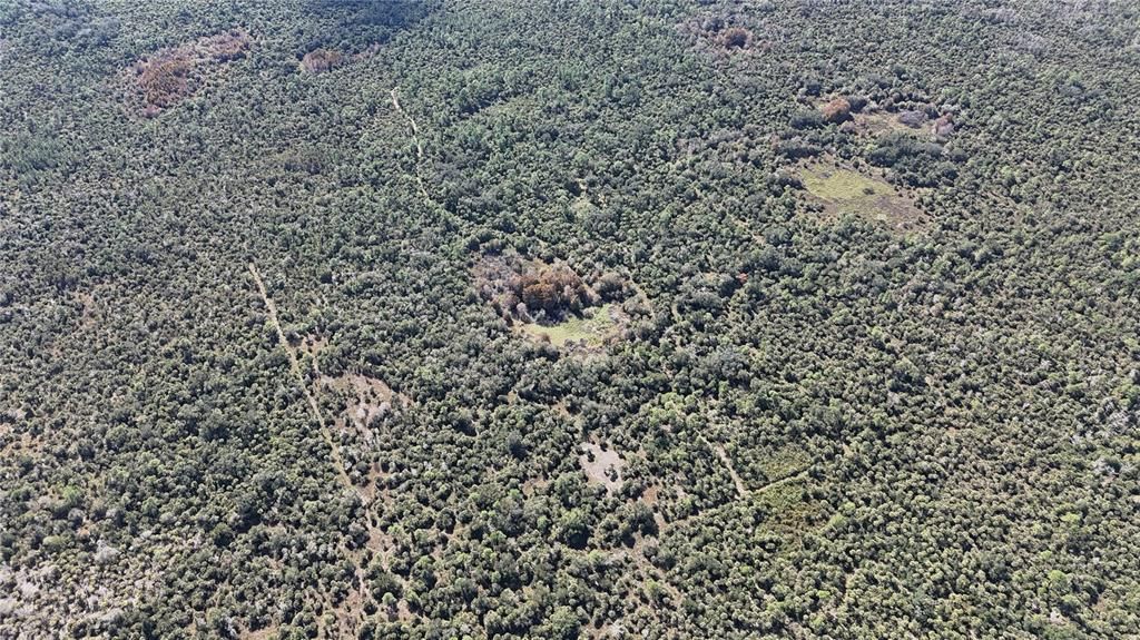 For Sale: $599,000 (40.17 acres)