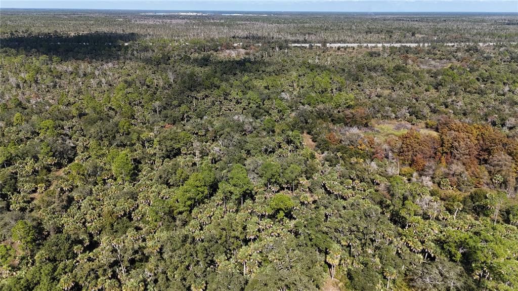 For Sale: $599,000 (40.17 acres)