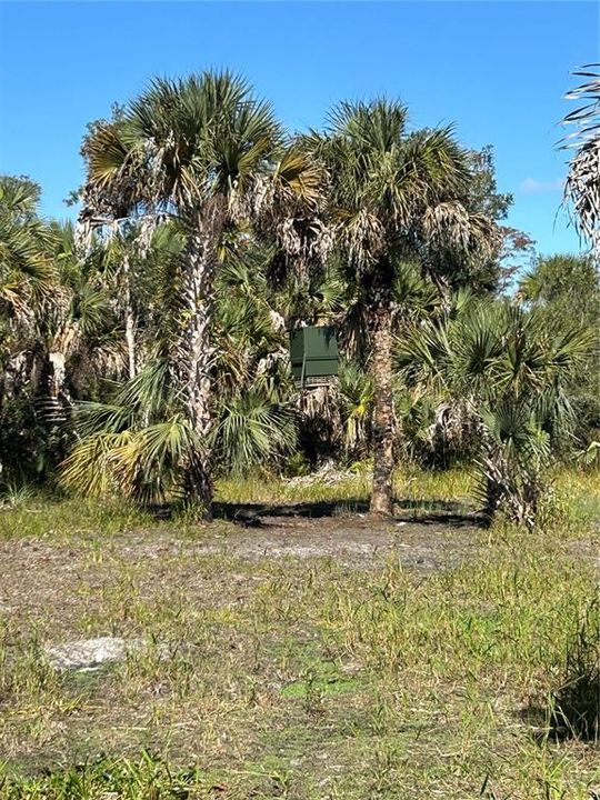 For Sale: $599,000 (40.17 acres)