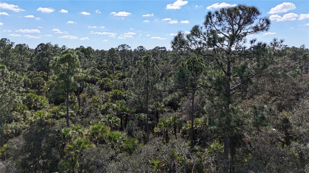 For Sale: $599,000 (40.17 acres)