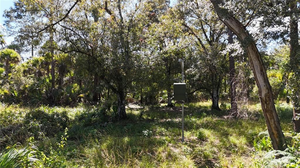 For Sale: $599,000 (40.17 acres)