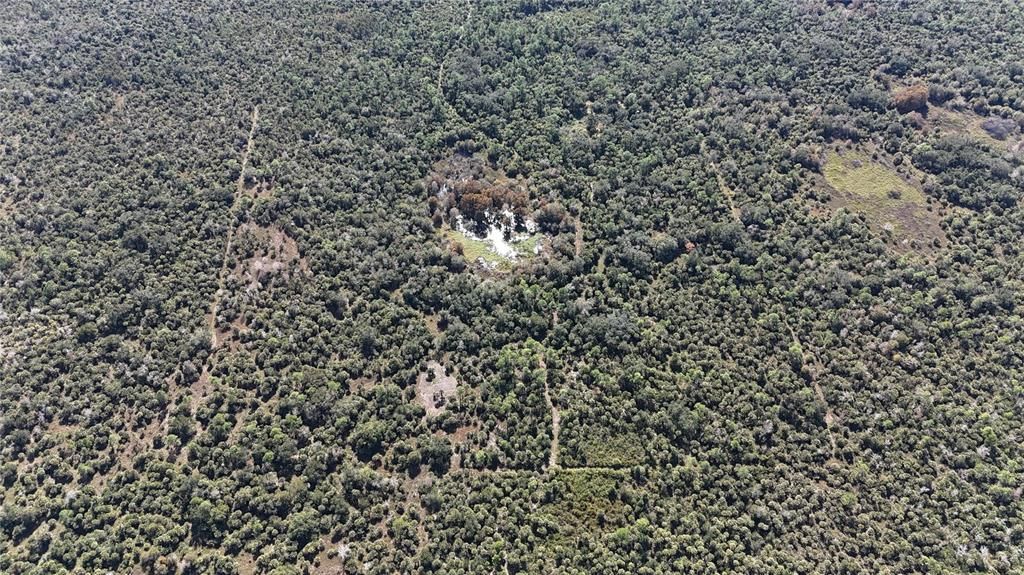 For Sale: $599,000 (40.17 acres)