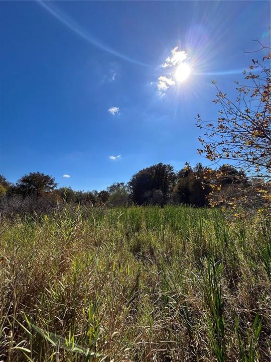 For Sale: $599,000 (40.17 acres)