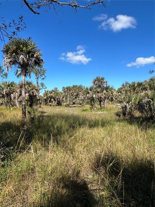 For Sale: $599,000 (40.17 acres)