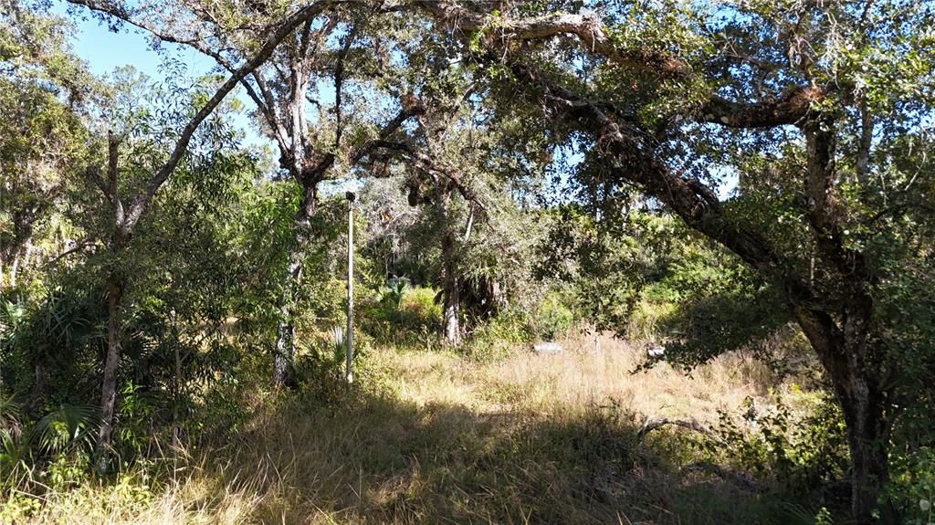 For Sale: $599,000 (40.17 acres)