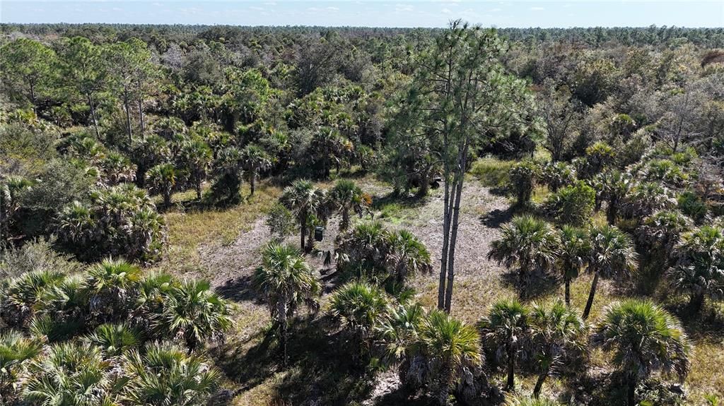 For Sale: $599,000 (40.17 acres)