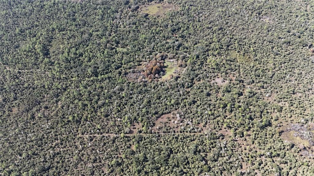 For Sale: $599,000 (40.17 acres)