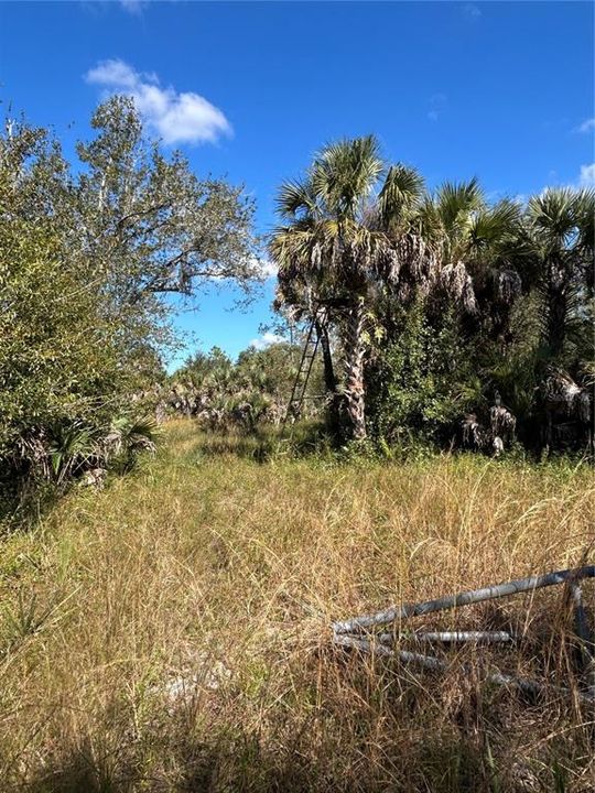 For Sale: $599,000 (40.17 acres)