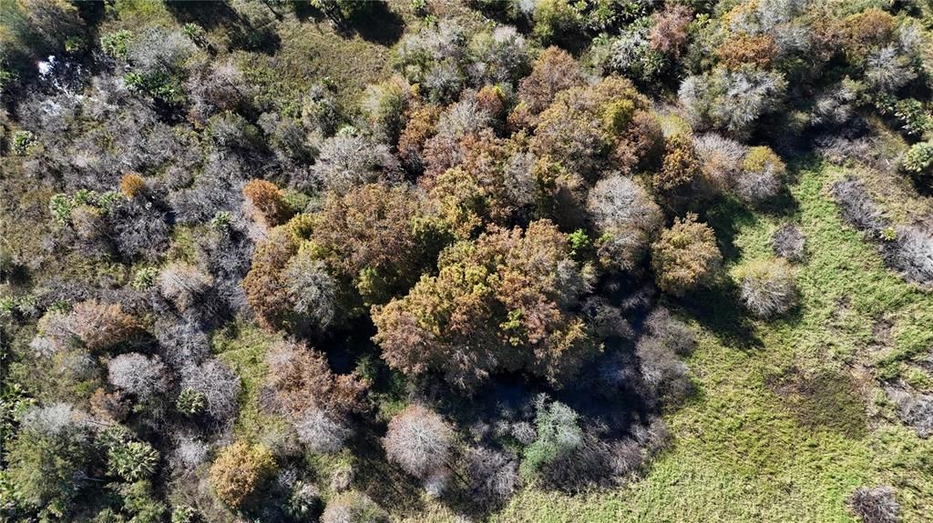 For Sale: $599,000 (40.17 acres)