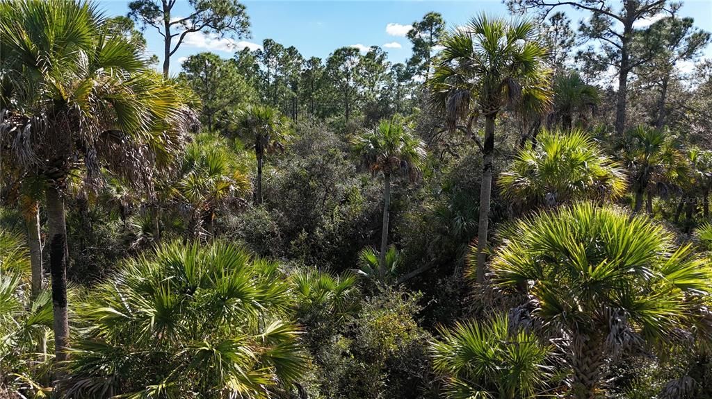 For Sale: $599,000 (40.17 acres)