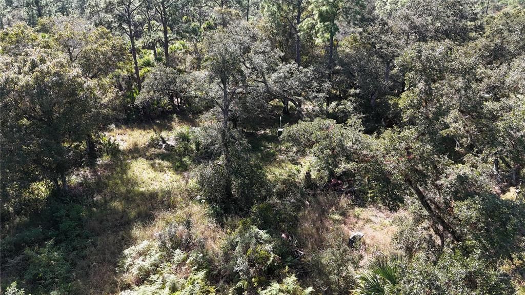 For Sale: $599,000 (40.17 acres)