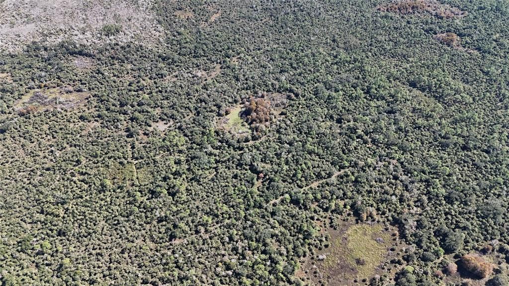 For Sale: $599,000 (40.17 acres)