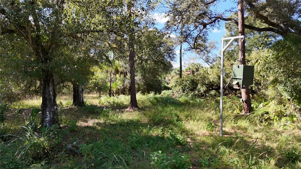 For Sale: $599,000 (40.17 acres)