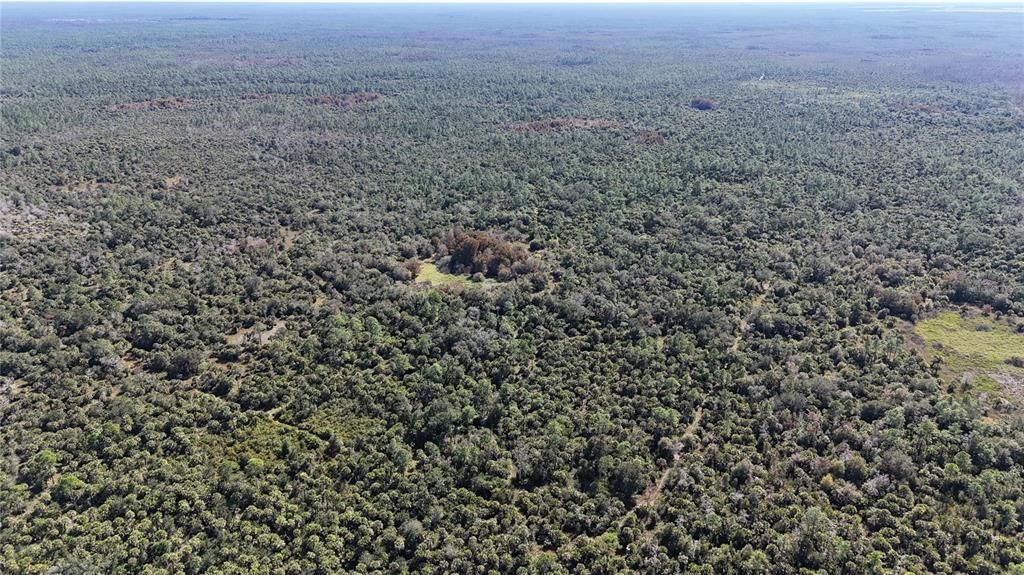 For Sale: $599,000 (40.17 acres)