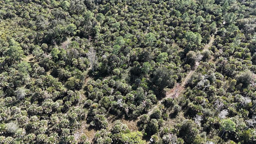 For Sale: $599,000 (40.17 acres)