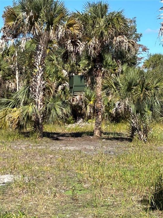 For Sale: $599,000 (40.17 acres)