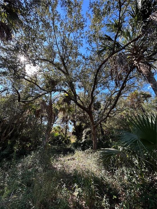 For Sale: $599,000 (40.17 acres)