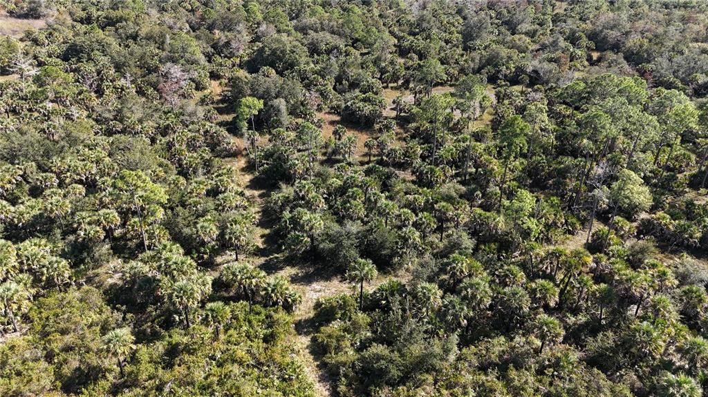 For Sale: $599,000 (40.17 acres)