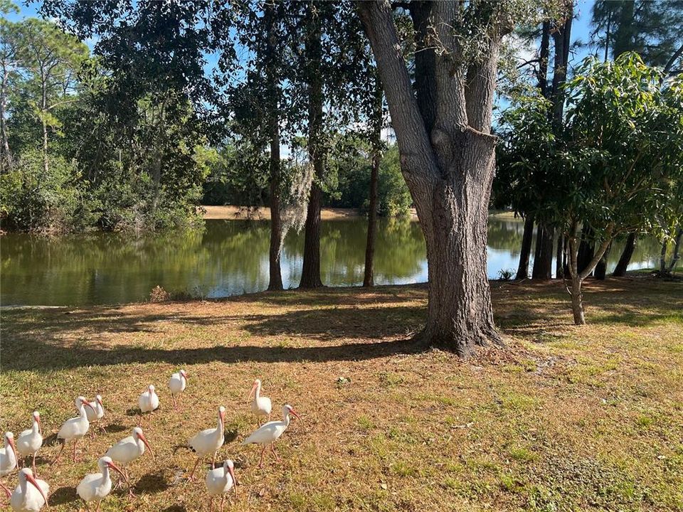 For Rent: $2,250 (3 beds, 2 baths, 1323 Square Feet)