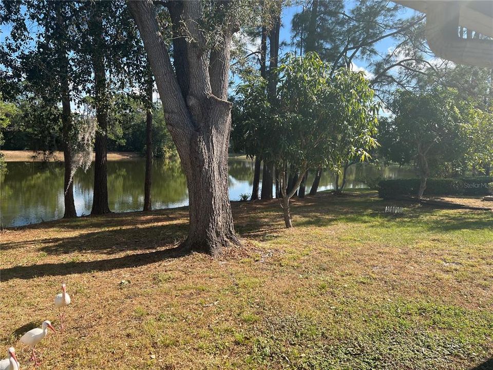 For Rent: $2,250 (3 beds, 2 baths, 1323 Square Feet)