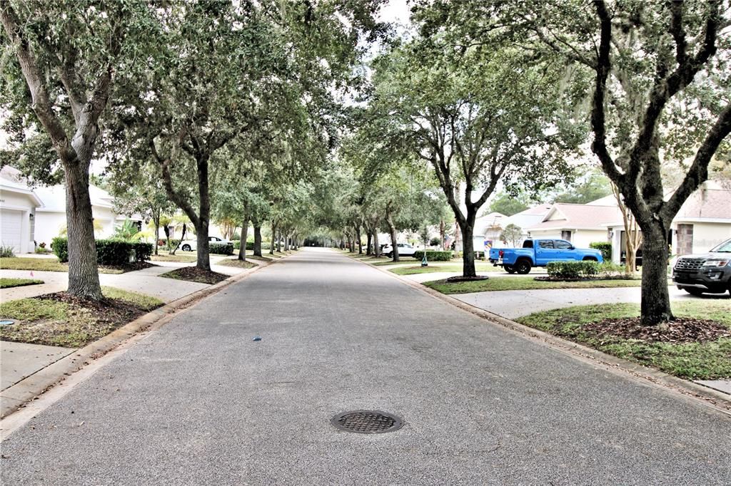 合同活跃: $325,000 (3 贝兹, 2 浴室, 1684 平方英尺)