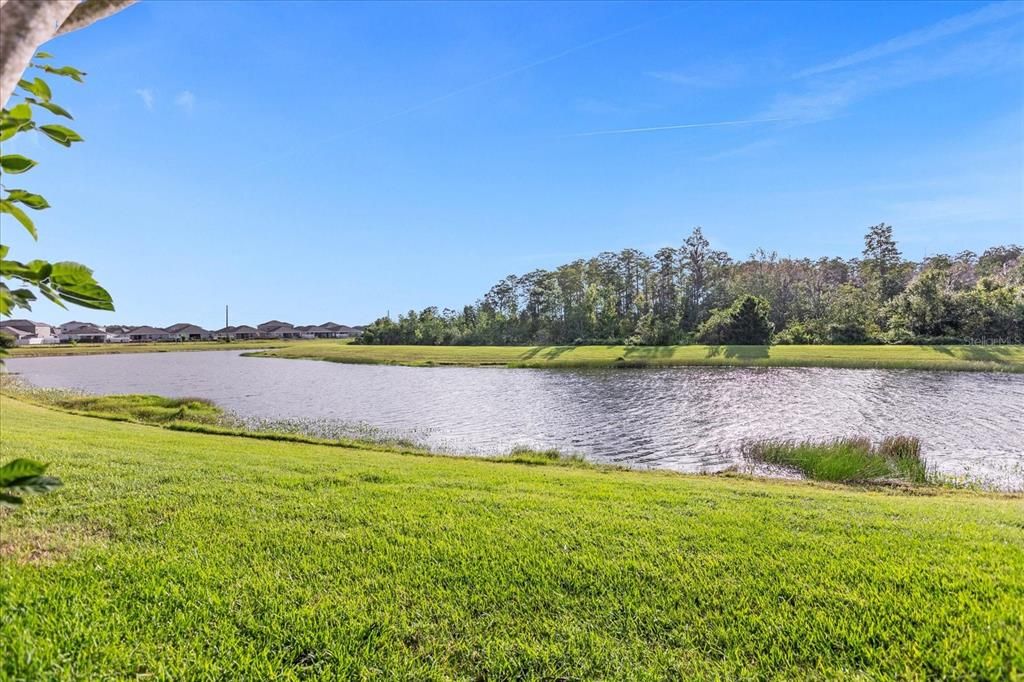 На продажу: $530,000 (3 спален, 2 ванн, 2566 Квадратных фут)