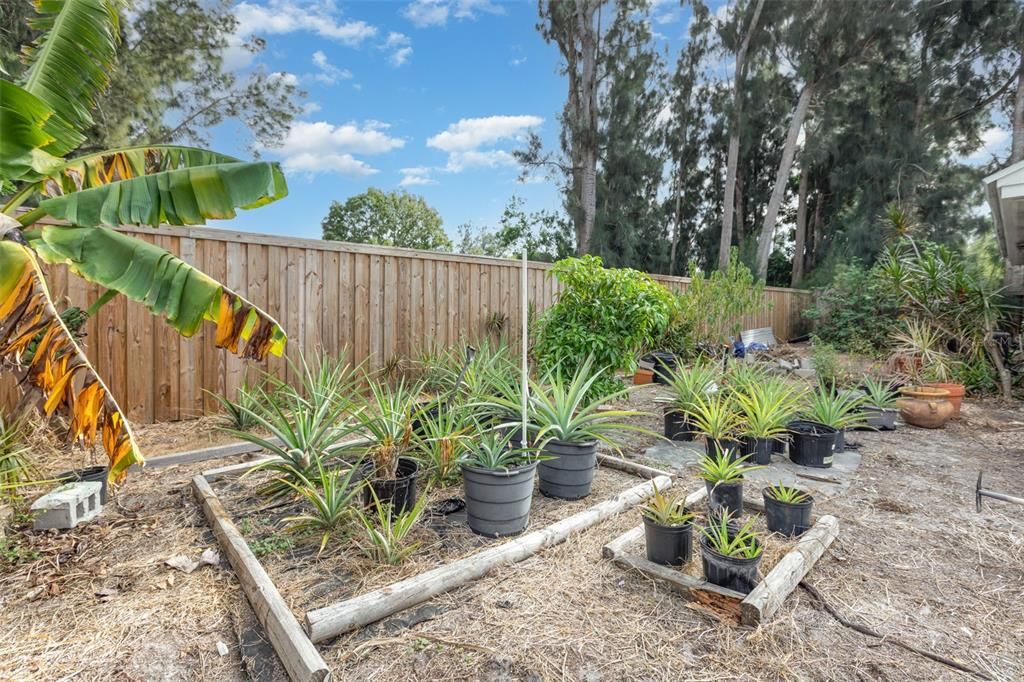 待售: $425,000 (4 贝兹, 3 浴室, 2100 平方英尺)