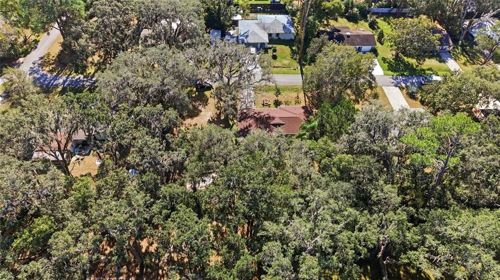 待售: $265,000 (4 贝兹, 2 浴室, 1549 平方英尺)