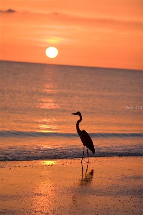 En Venta: $299,000 (2 camas, 2 baños, 1300 Pies cuadrados)