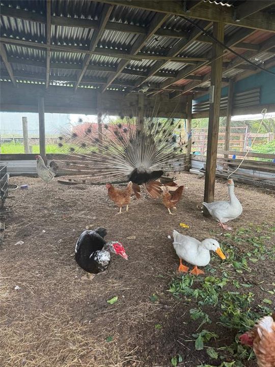 For Sale: $525,000 (3 beds, 2 baths, 1127 Square Feet)