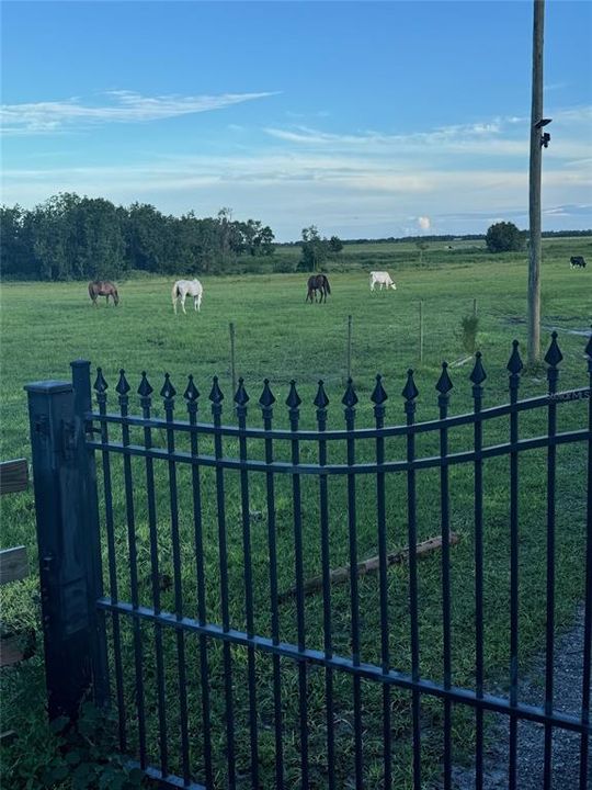 For Sale: $525,000 (3 beds, 2 baths, 1127 Square Feet)