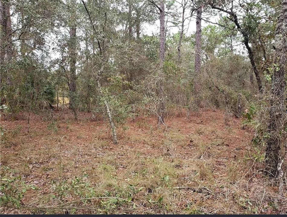 For Sale: $2,300,000 (4.08 acres)