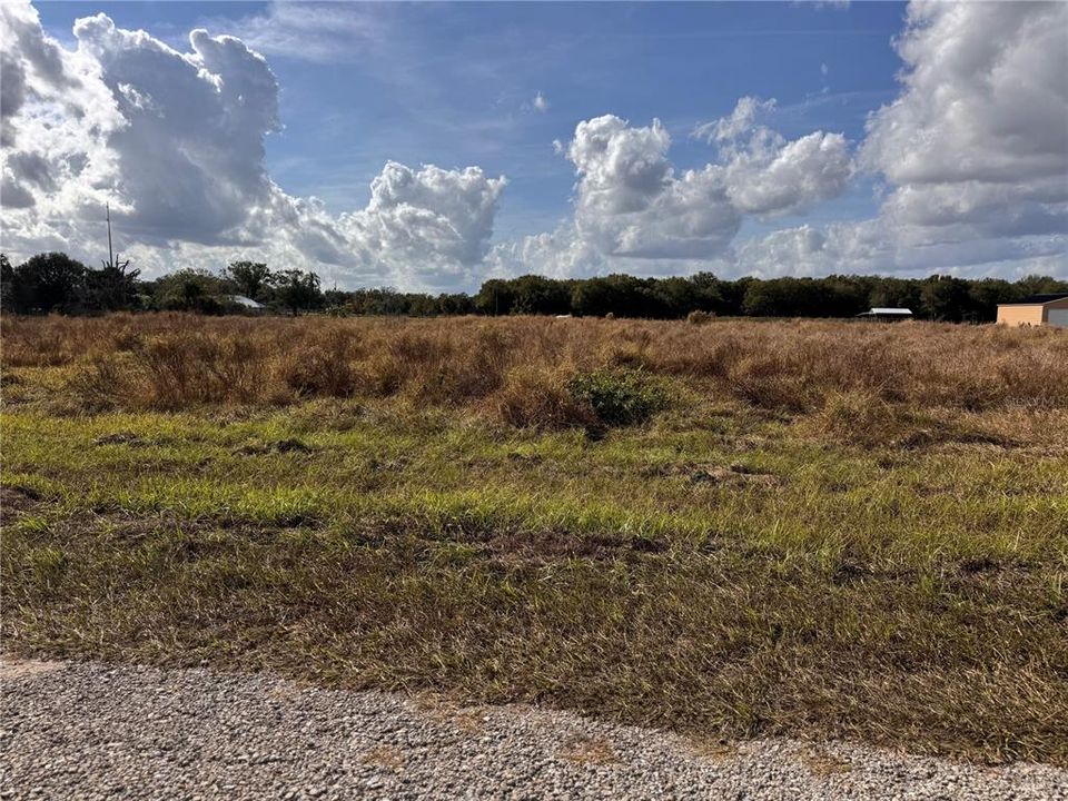 待售: $85,000 (1.52 acres)