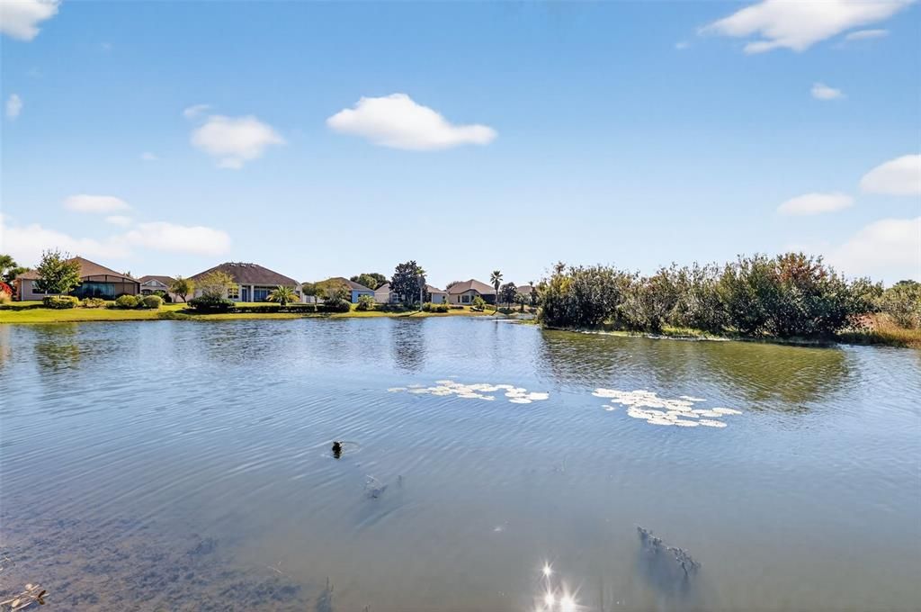 На продажу: $510,000 (3 спален, 2 ванн, 1919 Квадратных фут)