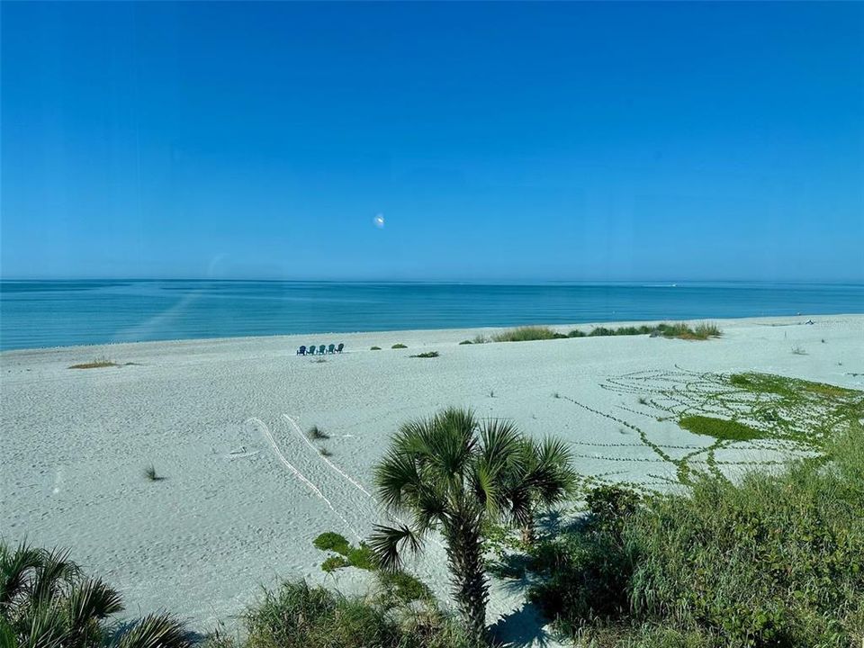 出租: $5,800 (2 贝兹, 2 浴室, 872 平方英尺)