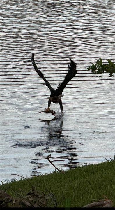 For Sale: $799,000 (3 beds, 2 baths, 2528 Square Feet)